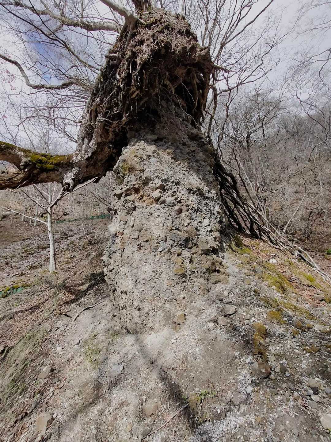 篭山 周回コースの写真