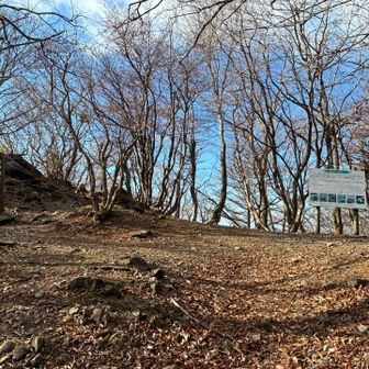 大神岩 標高1,000m