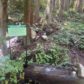 喉がカラカラでの水場は最高に美味しいかった！