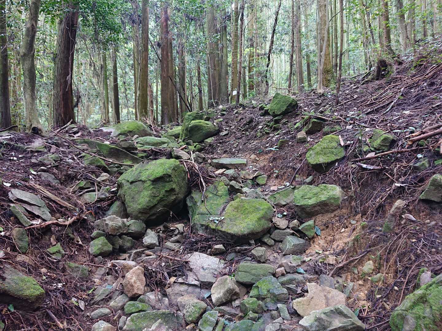 烏帽子岳 往復コースの写真