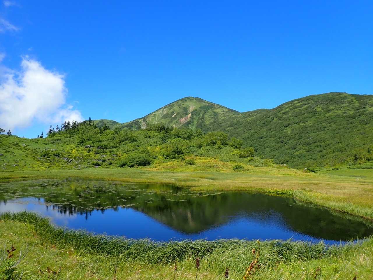 笹ヶ峰-火打山-茶臼山-大倉乗越-妙高山 周回コースの写真