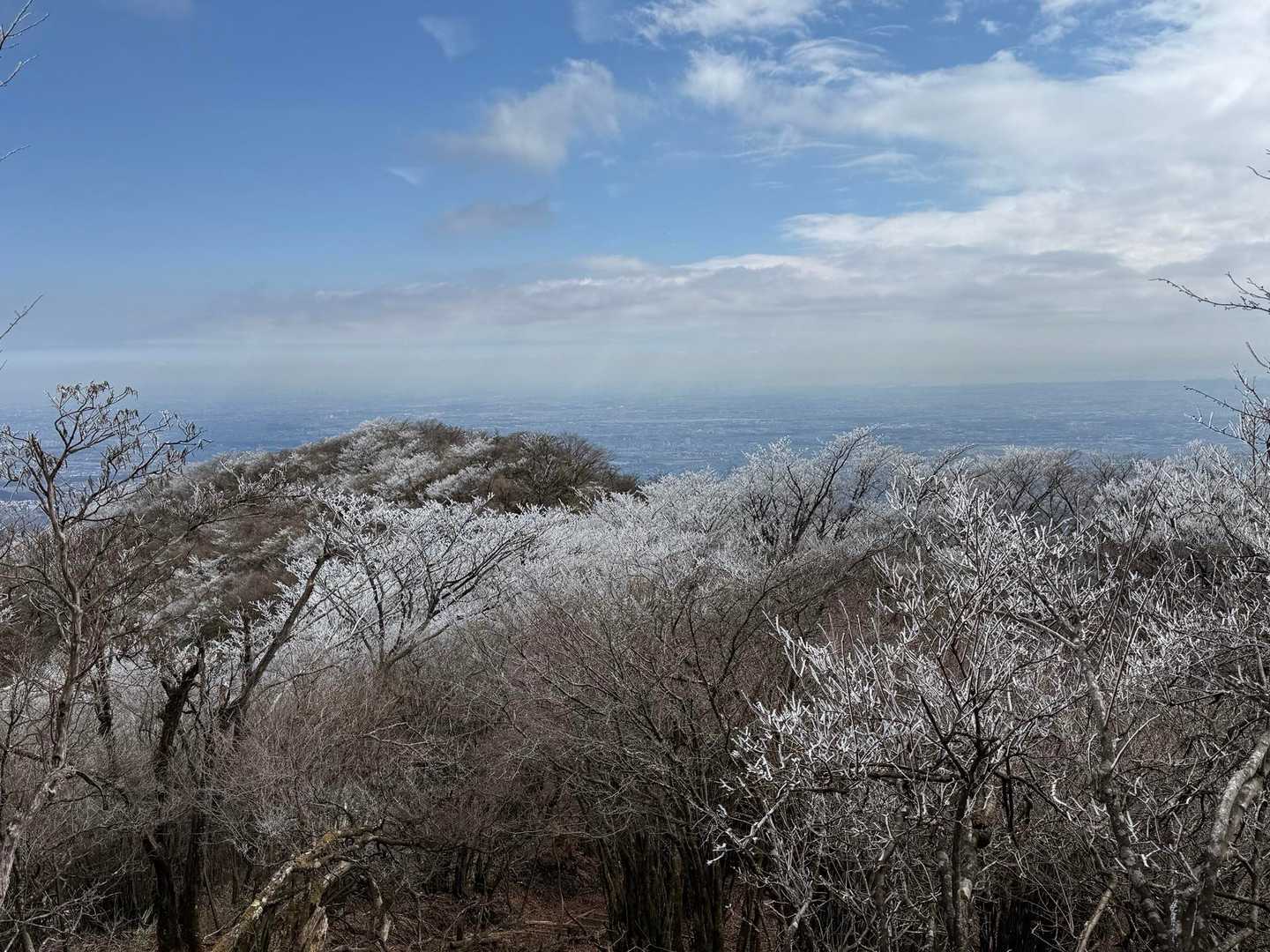 ヤビツ峠-大山-矢草ノ頭-唐沢峠-広沢寺温泉バス停 縦走コースの写真