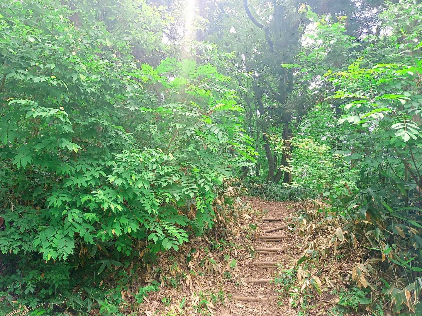 お祭り開催中の駐車場を借りて、
お寺さんの方から登山口へ→