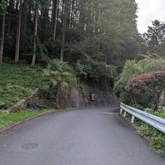 多摩川南岸の道へ