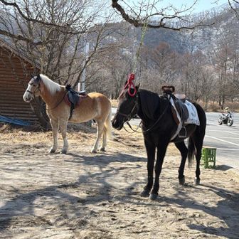 群馬でウマーーー🐎