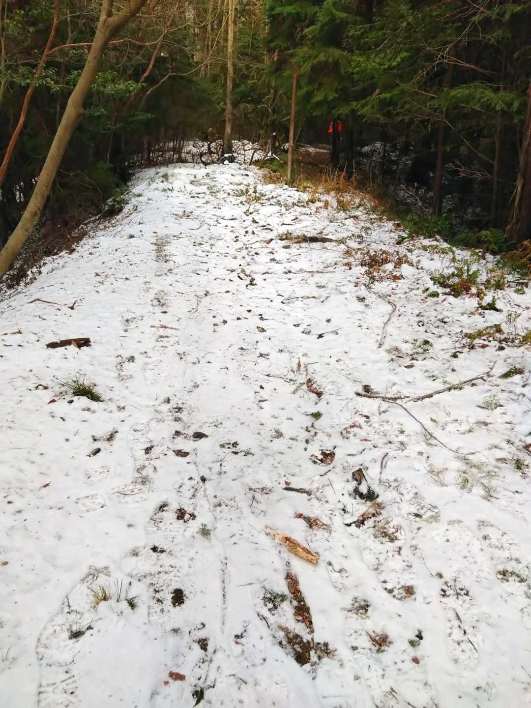 雪があります❄
滑るので注意⚠️