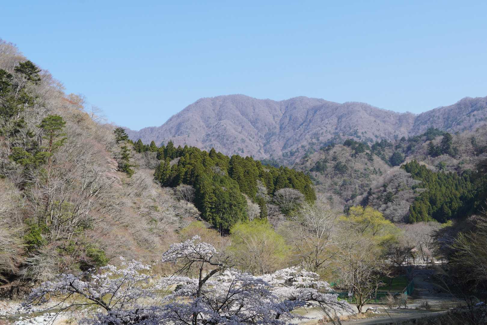 あれが大室山か。