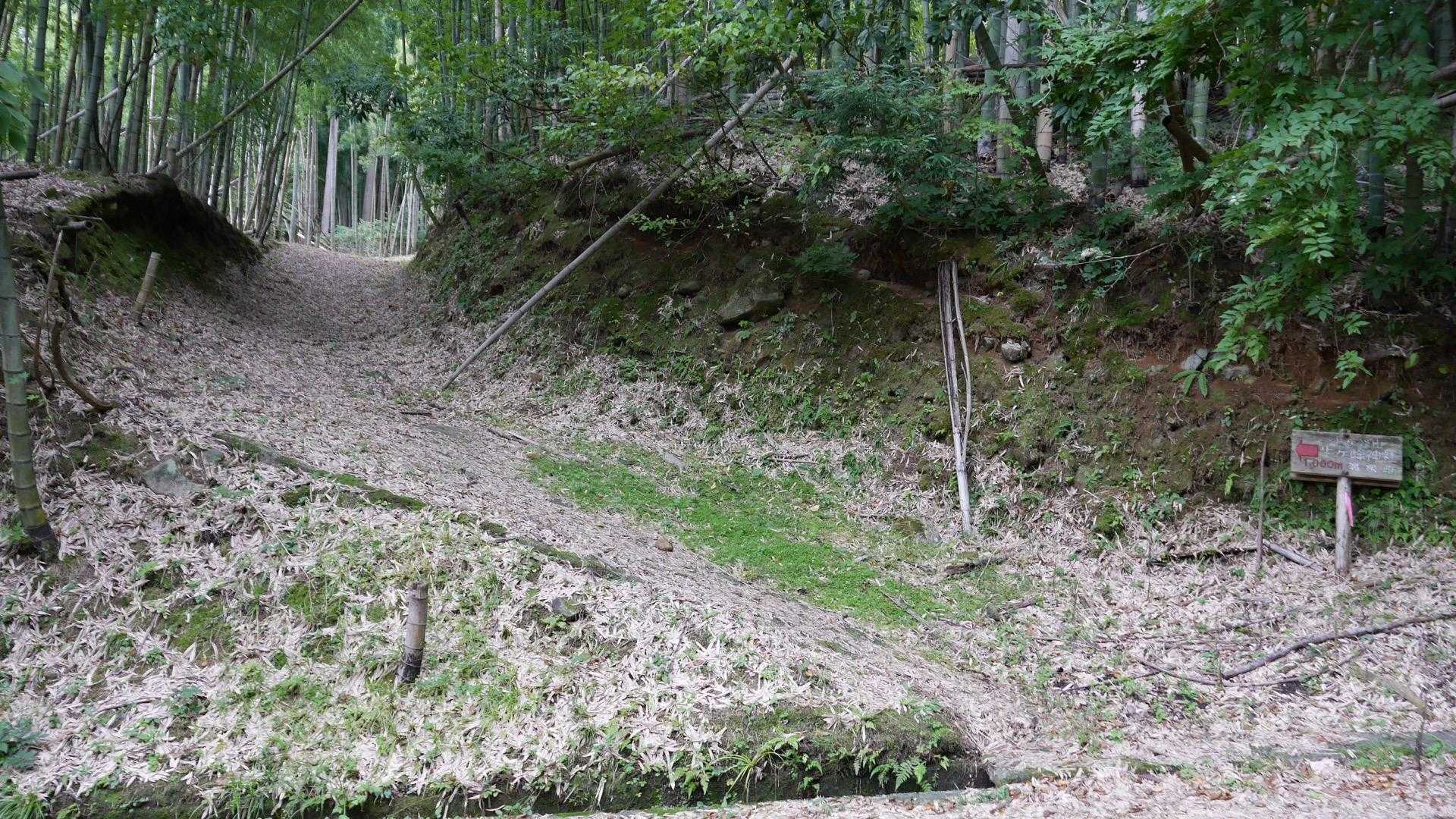 登山口