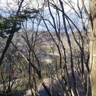 下山中、木の間から四尾連湖が見えた。
