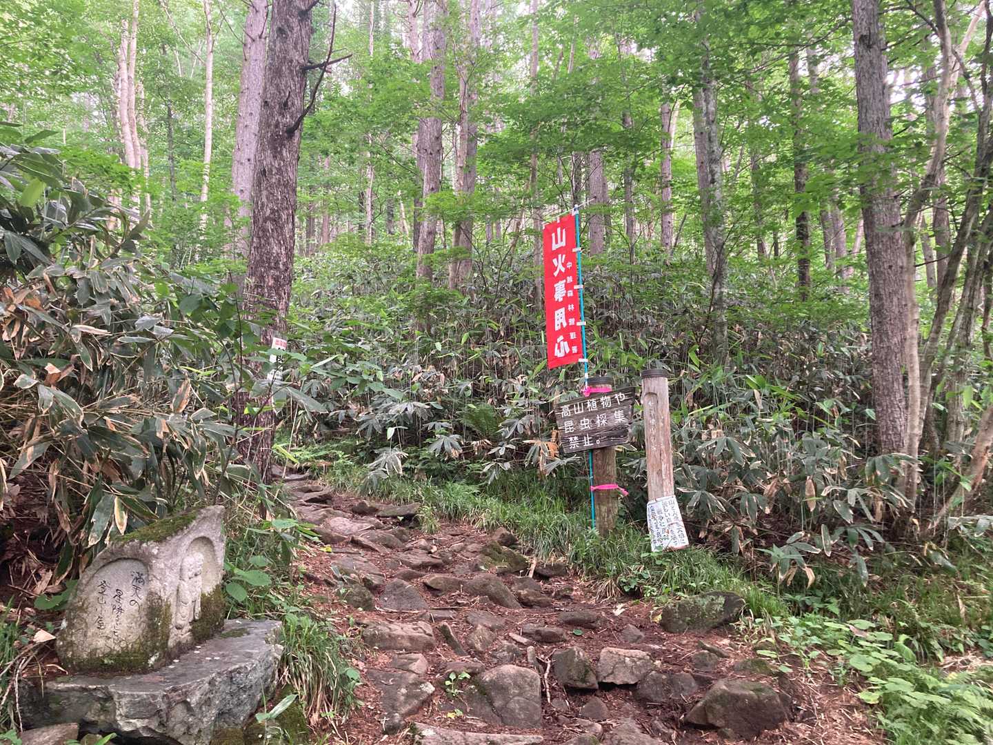 平源新道登山口に出ました。
そこから林道歩き。