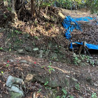 人が歩いてない感じで