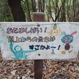 ※すごかと～？