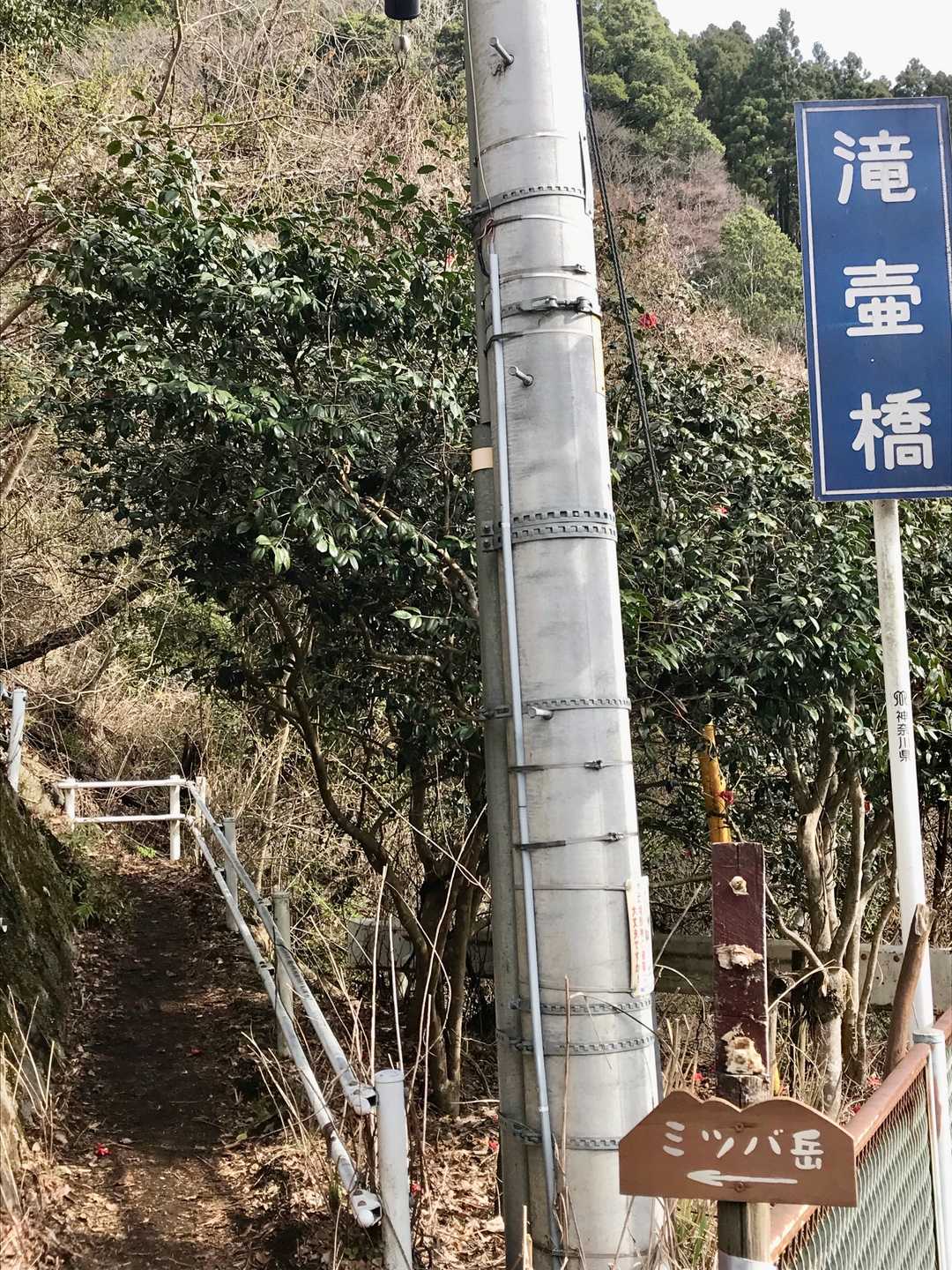 駐車場から10分ほどで登山口到着
目印は滝壺橋　ミツバ岳←の道標可愛いすぎて目立たない(*☻-☻*)