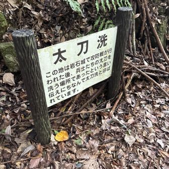 腰が痛いので、ゆっくり、降りて来ました