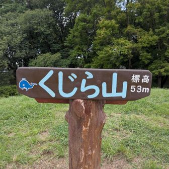 前の反対側の山頂標。こちらは標高入り。