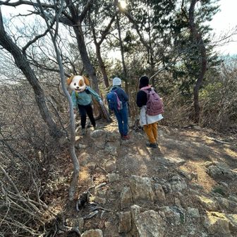 男山の山頂はこんな感じ