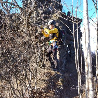 木が生えてるから分からないけど、足下は垂直の絶壁…細～い尾根なのです