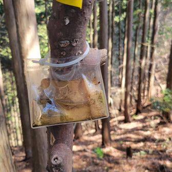 簡単な東雲山の標識
難読で読める人は読めるのでしょうが、なかなか読めないよね…(笑)