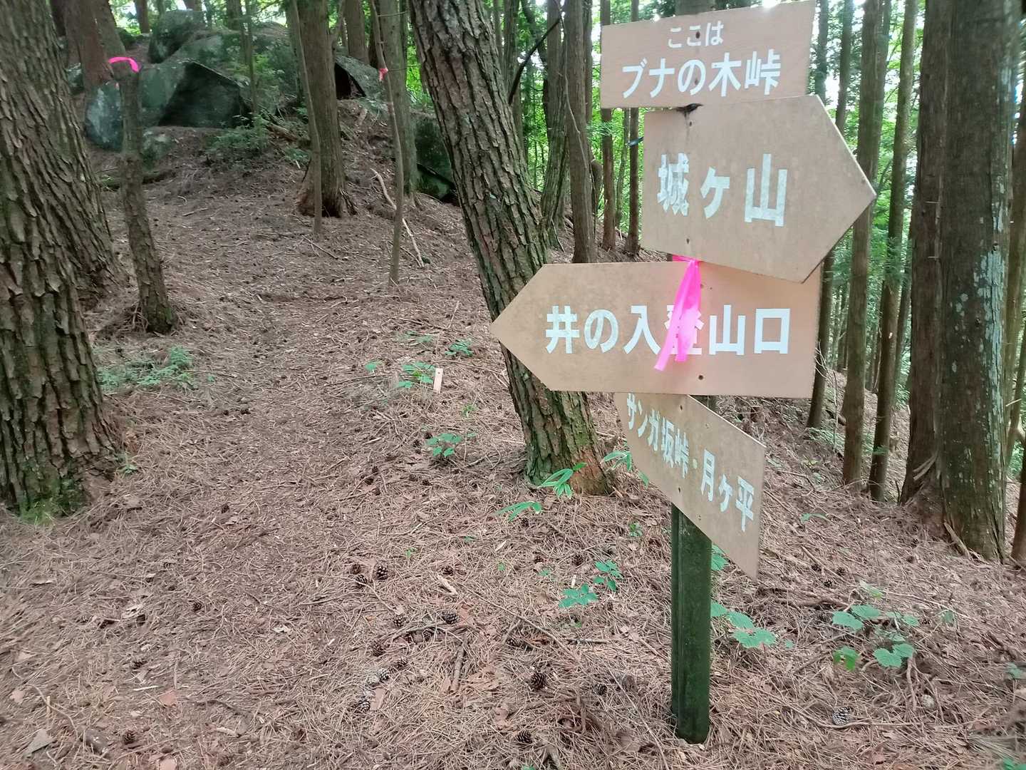 大井平公園前バス停-大井平登山口-夏焼城ヶ山-月ヶ平-大栗 往復コースの写真