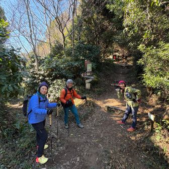 日本坂峠から小坂に降ります