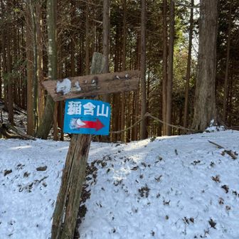 稲含山🏔️を目指します