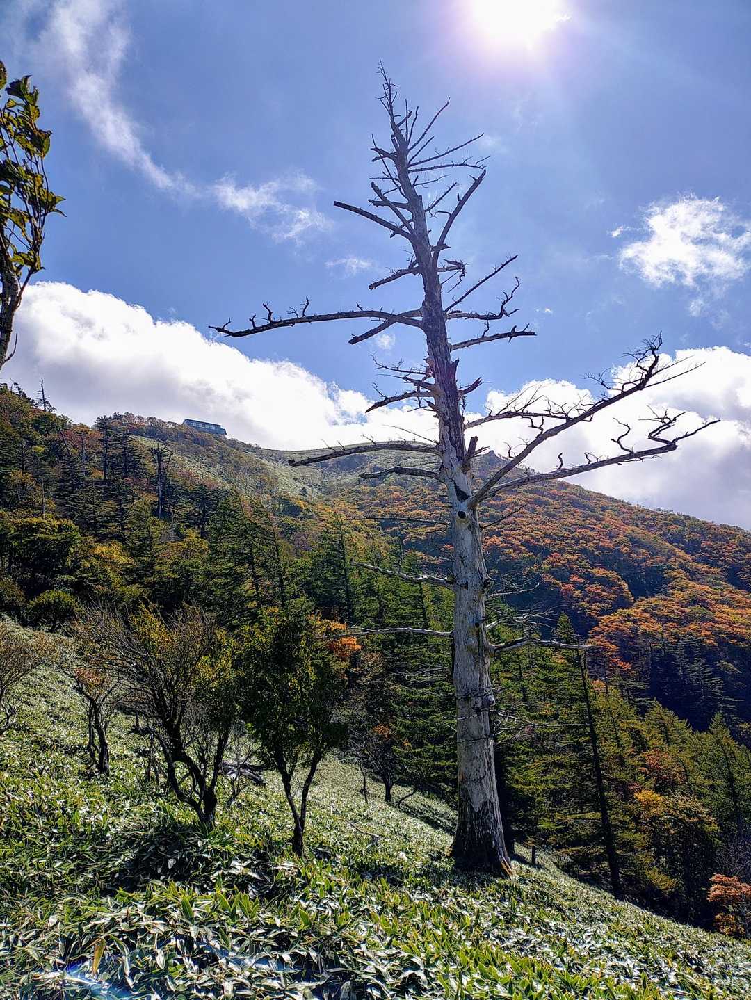 剣山 往復コースの写真