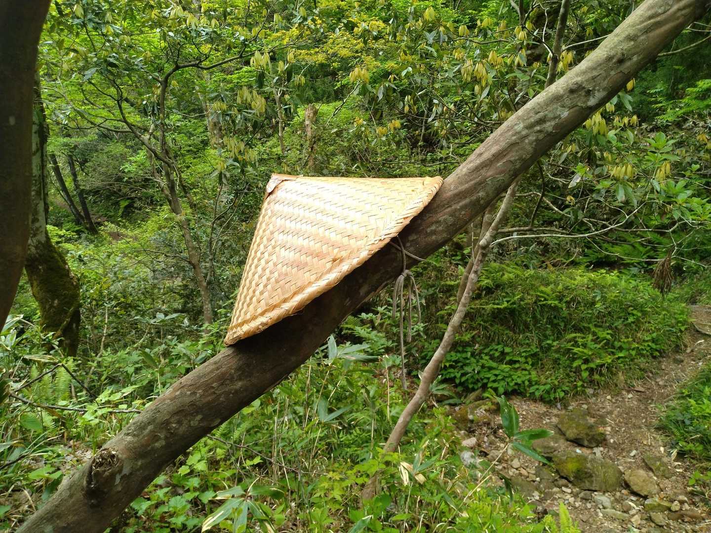 西ノ谷登山口-舟見平-鞍掛山-中ノ谷登山口 周回コースの写真
