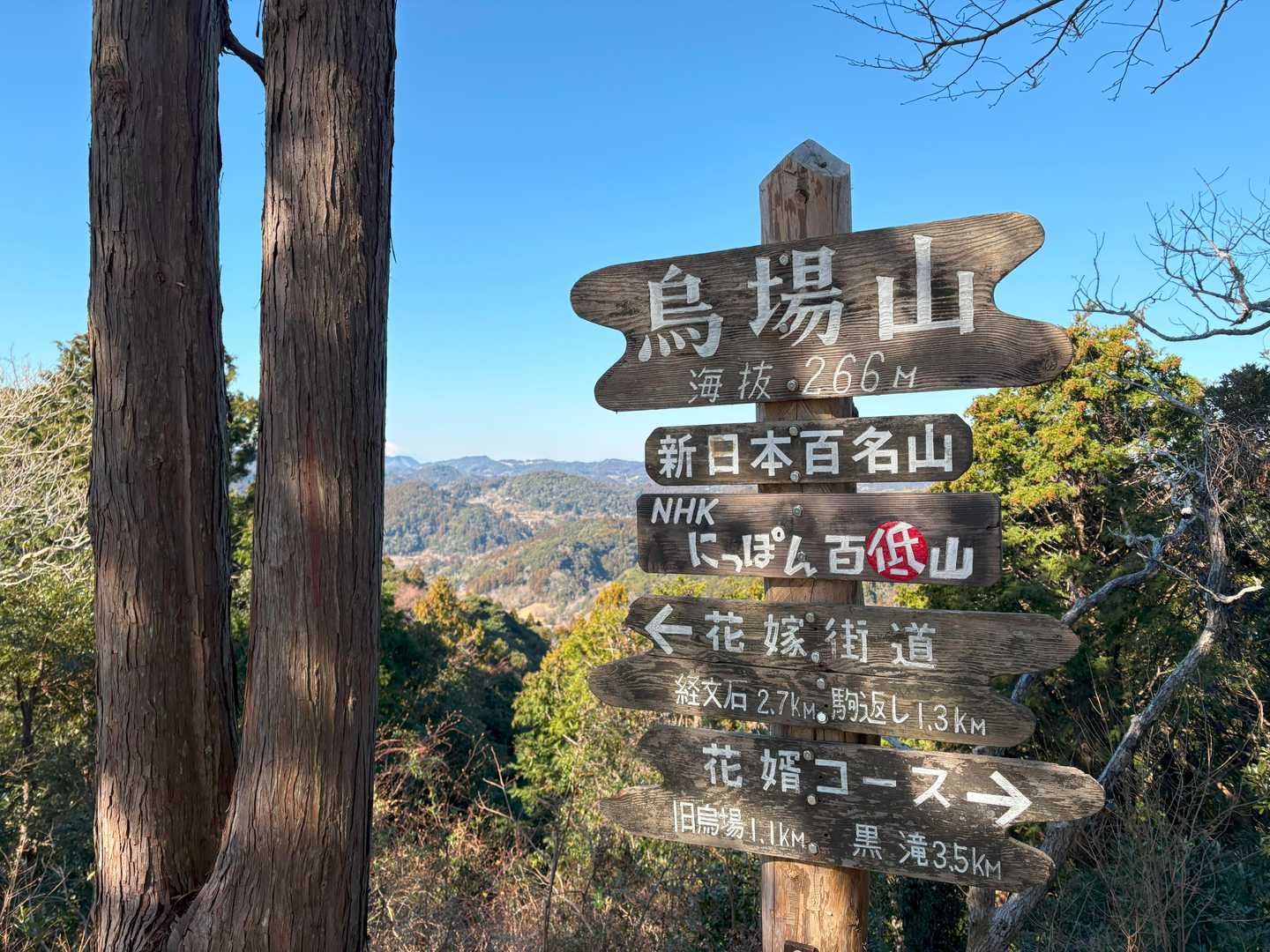 烏場山の頂上に到着！