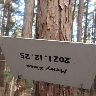 山名板の裏。わらびーずの方が設置された看板でした