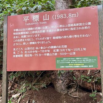 平標山の家から1時間弱下って、林道へ出ました
駐車場までは、まだ1時間くらい歩きます
これが長くて嫌だったー😩