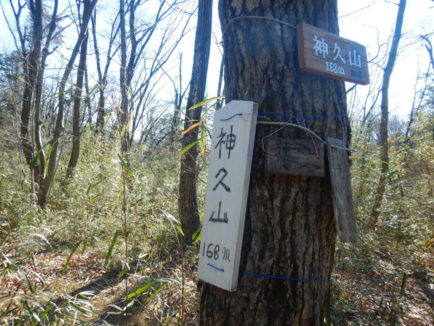 天覧山-多峯主山 周回コースの写真