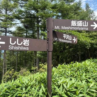 分岐　もうこの辺りはヤバいです…脚が