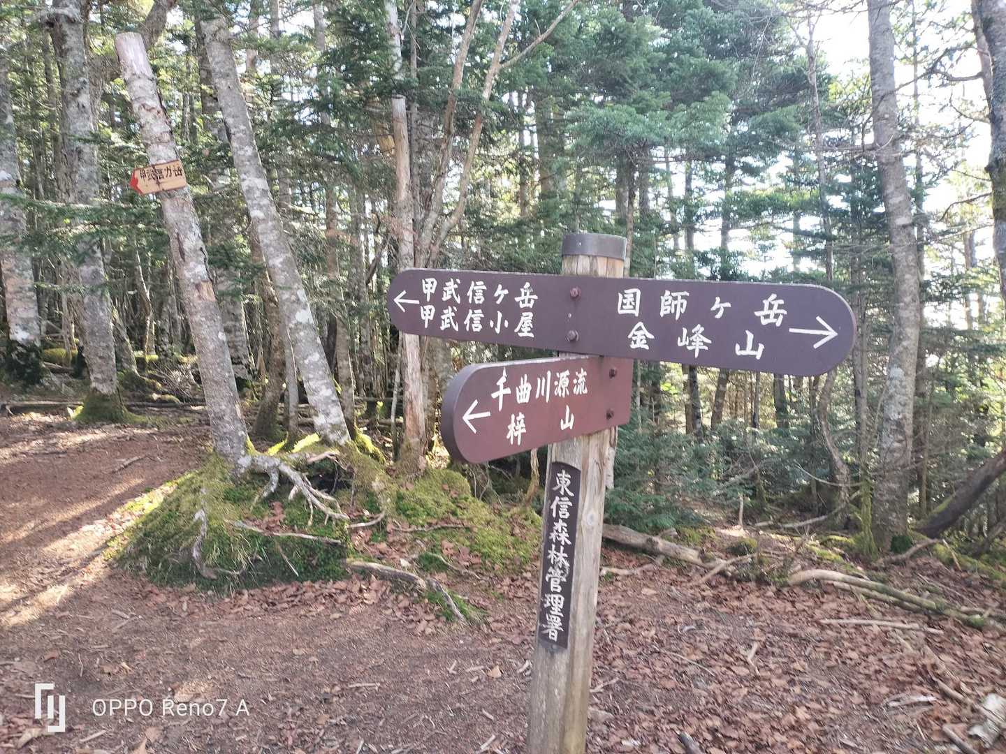 源流から本格的な登りが
始まりました。
そしてこの稜線まで２０分の我慢
って感じだったので精神的に
余裕をもって頑張れました😁