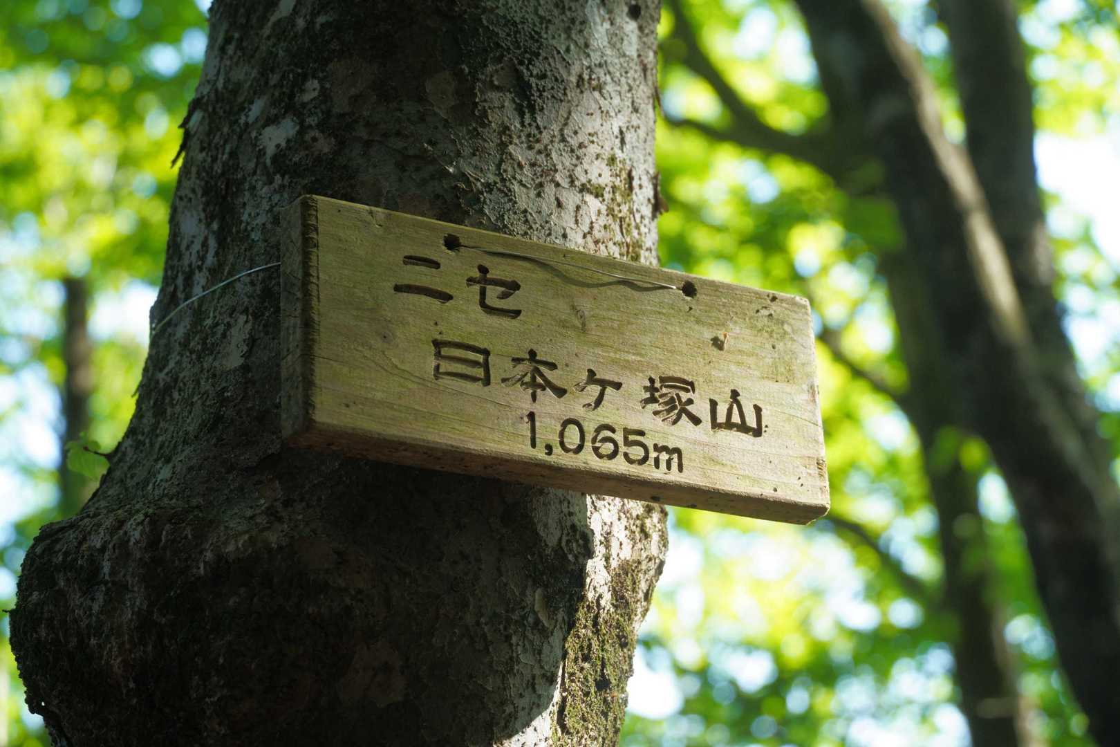 ニセ日本ヶ塚山に到着🙌
みなさんここからが楽しいとおっしゃいますが、なかなか大変でした💦
