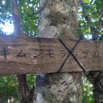 キムンモラップ山
景色は特にない…