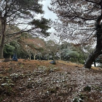 たまには違う道通らねば🤩