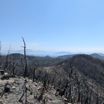 登って来た道が見える

木々　焼け落ちたから