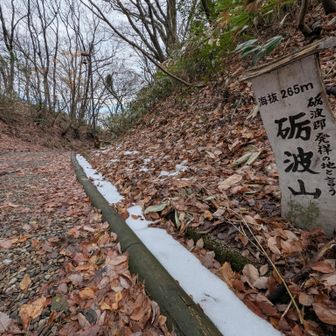 おやおや、山頂ではない場所に砺波山265ｍの標識が😀。ここは全くピークの形状をしていない切り割りの底なのですが。