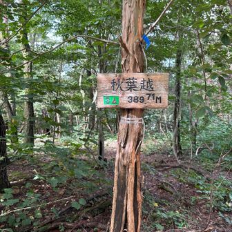 秋葉山（青葉越）