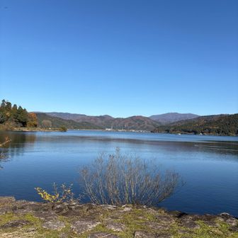 帰りはショートカットで余呉湖畔を歩きました