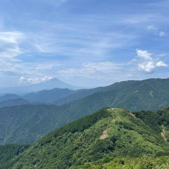 右手前がこれから行く烏尾山、そんなに降りるの？