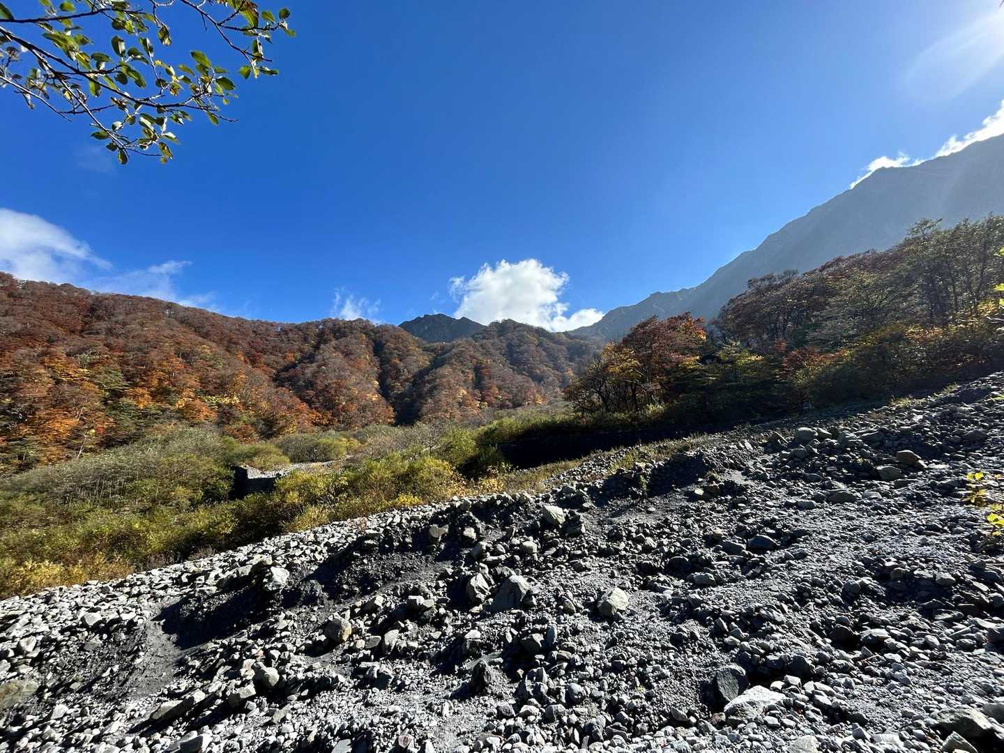 行者登山口-大山 往復コースの写真