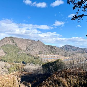 長倉山周辺より