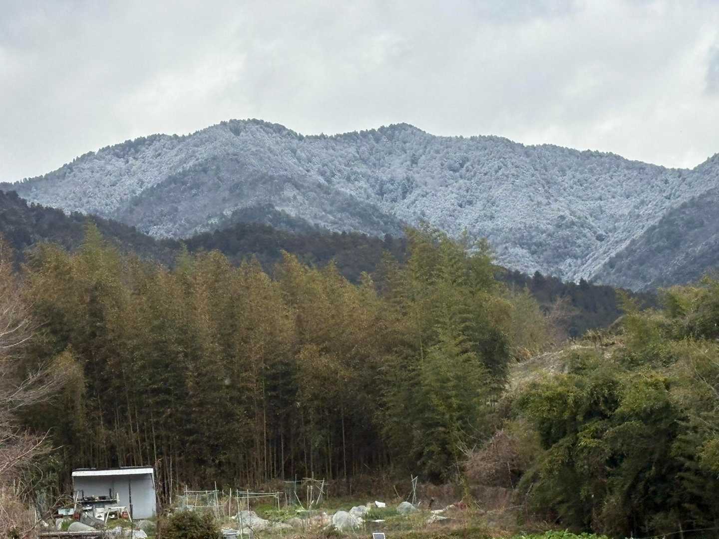 今朝はかなり冷え込んだ🥶

大原から見たら山肌に雪❄️
そういえば、昨日はみぞれ混じりで風が強かった🌪️

バス🚌降りた時も少し雪❄️が舞ってました