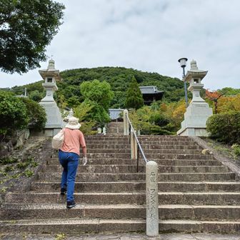 神呪寺参道