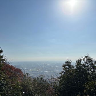 ちょっと霞んでますが、１２月とは思えない陽気で熱い🥵