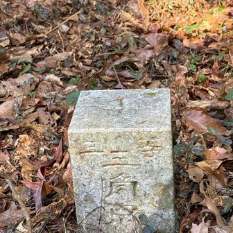 三等三角点

ここでランチ