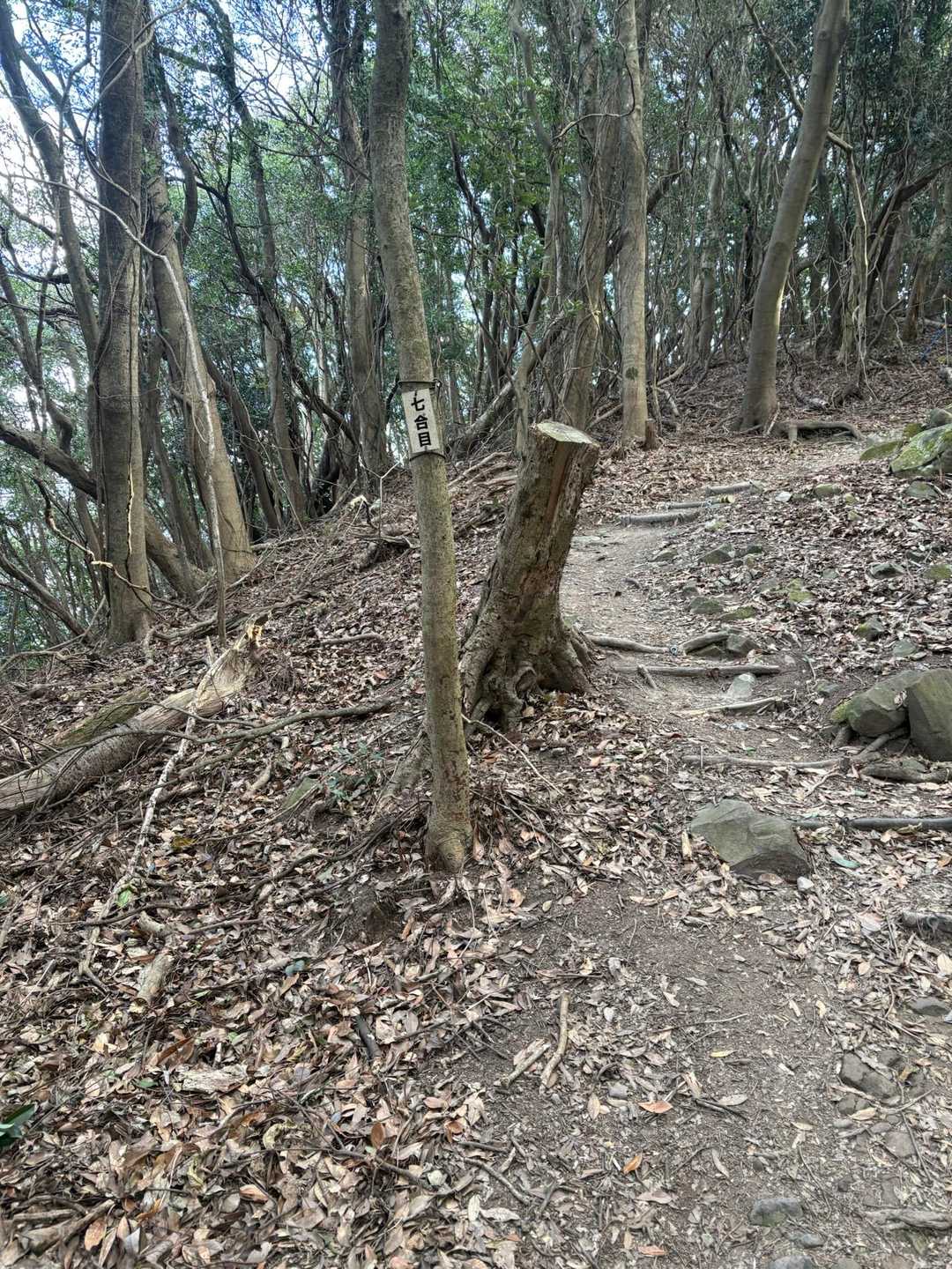 7合目