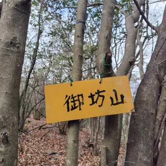 御坊山到着🙌
手応えあり体力かなり消耗です💦
お陰様で足パンパン😂

一休みして反対側に進みますが…