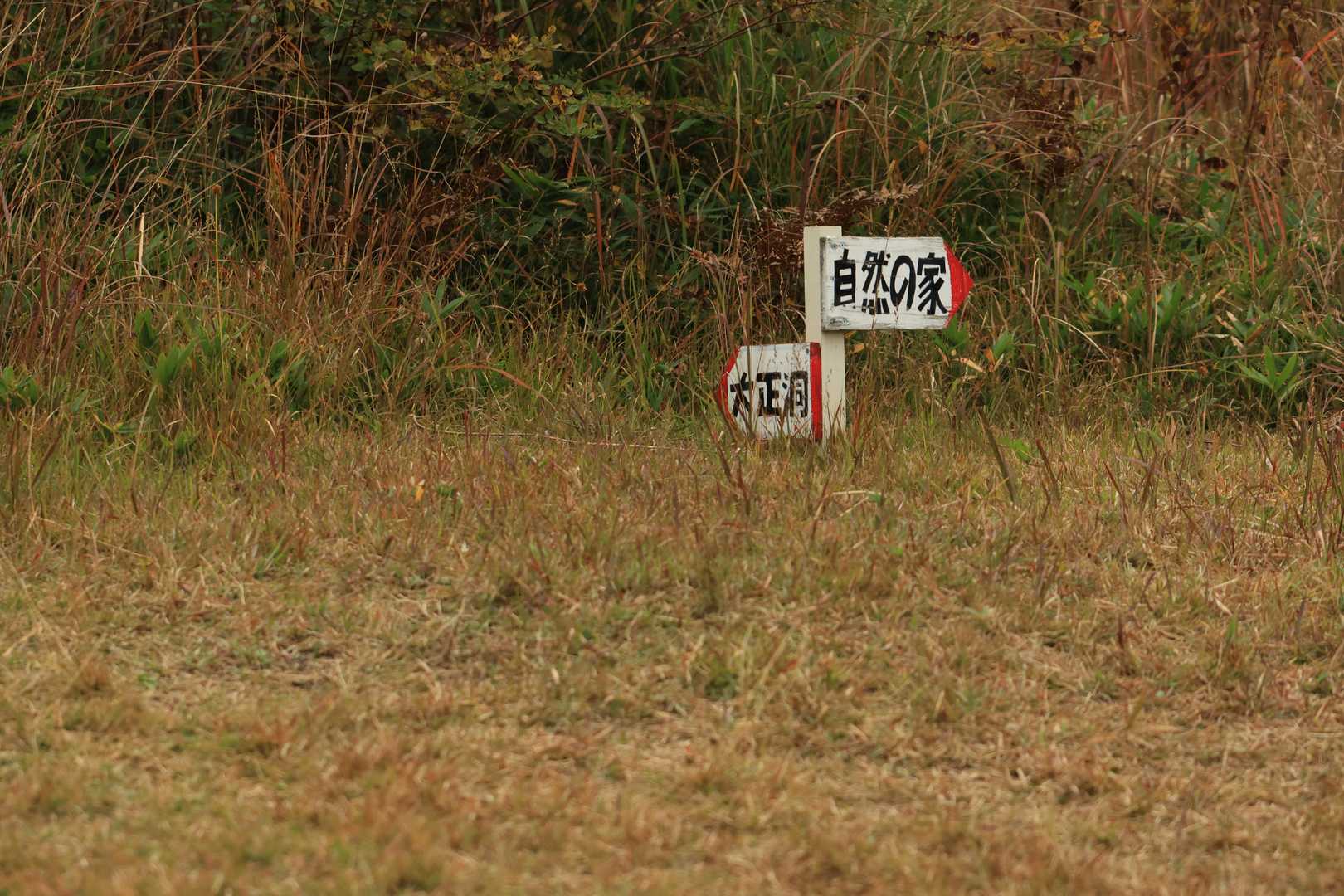『自然の家』に向かってみよう